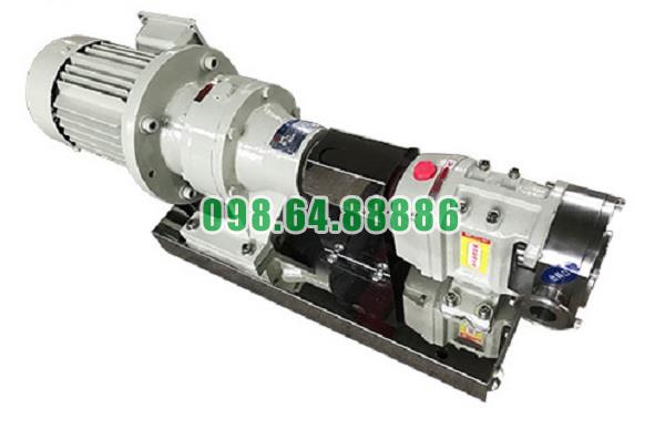 Máy bơm lobe 3RP-10 công suất 1.5kw tốc độ quay 1000 vòng/phút