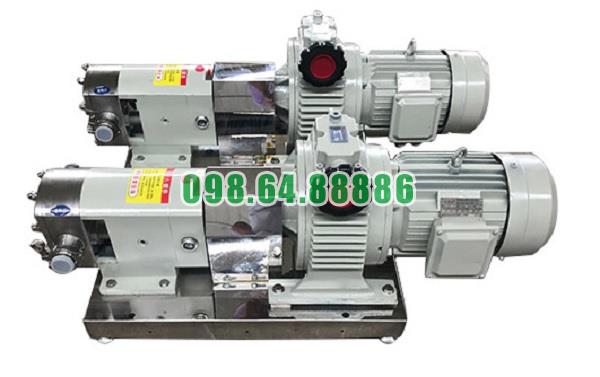 Máy bơm lobe 3RP-5 công suất 1.5kW lưu lượng 3 m3/h tốc độ quay 1000 vòng/phút